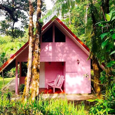 Cabanas Las Orquideas Zapotal  Экстерьер фото