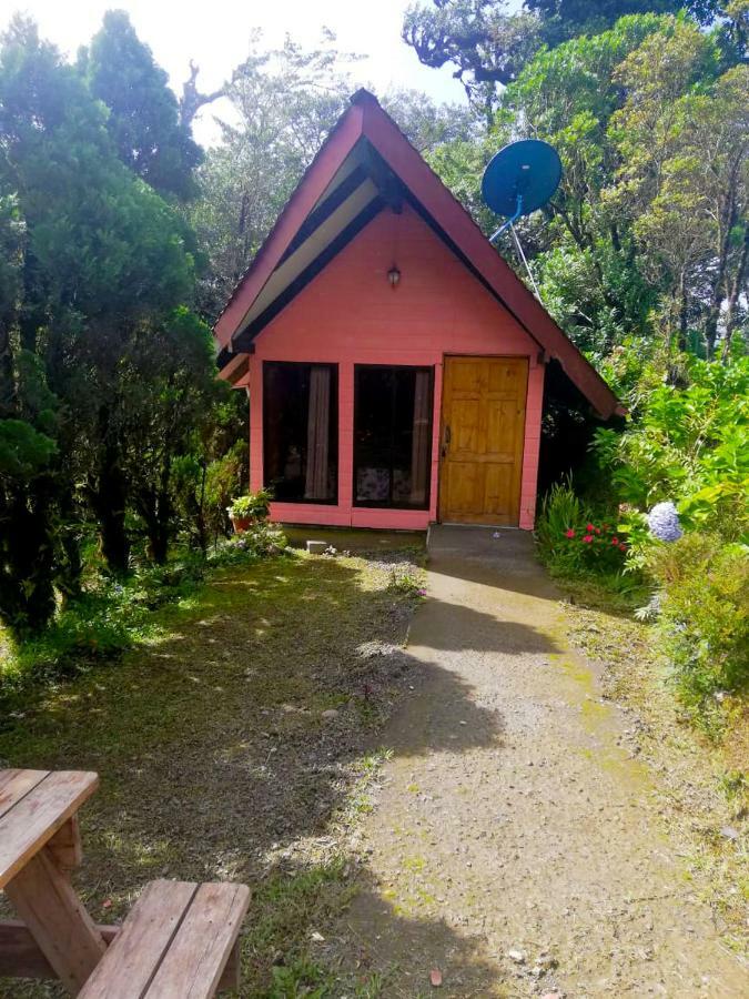 Cabanas Las Orquideas Zapotal  Номер фото