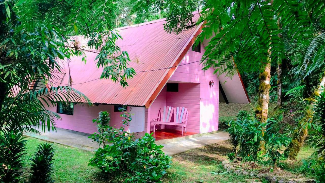 Cabanas Las Orquideas Zapotal  Номер фото