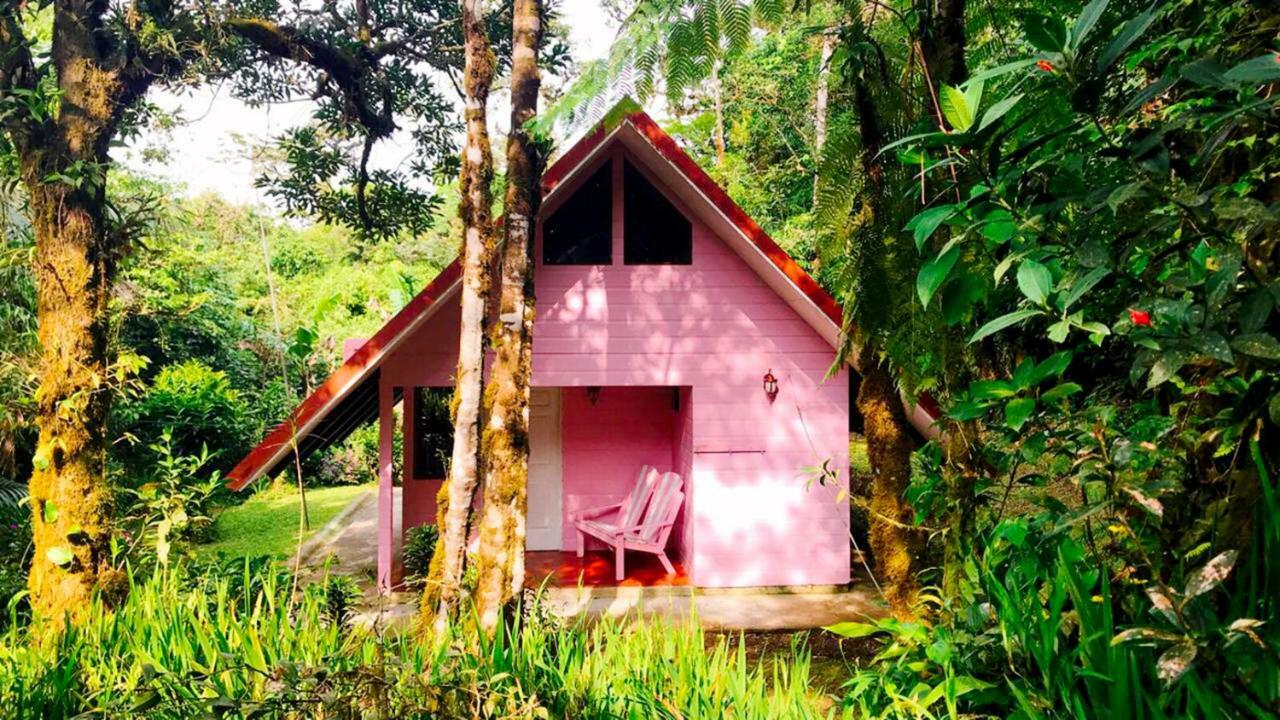 Cabanas Las Orquideas Zapotal  Экстерьер фото
