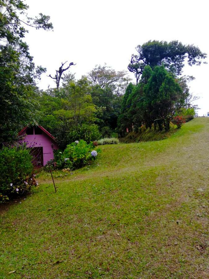 Cabanas Las Orquideas Zapotal  Экстерьер фото