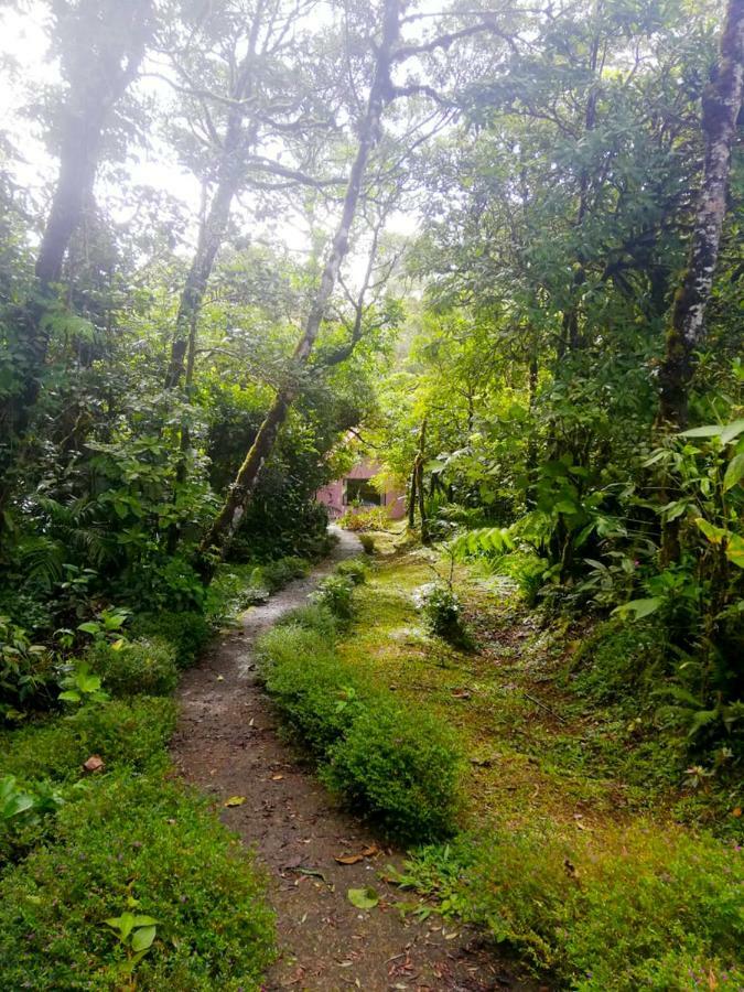 Cabanas Las Orquideas Zapotal  Экстерьер фото