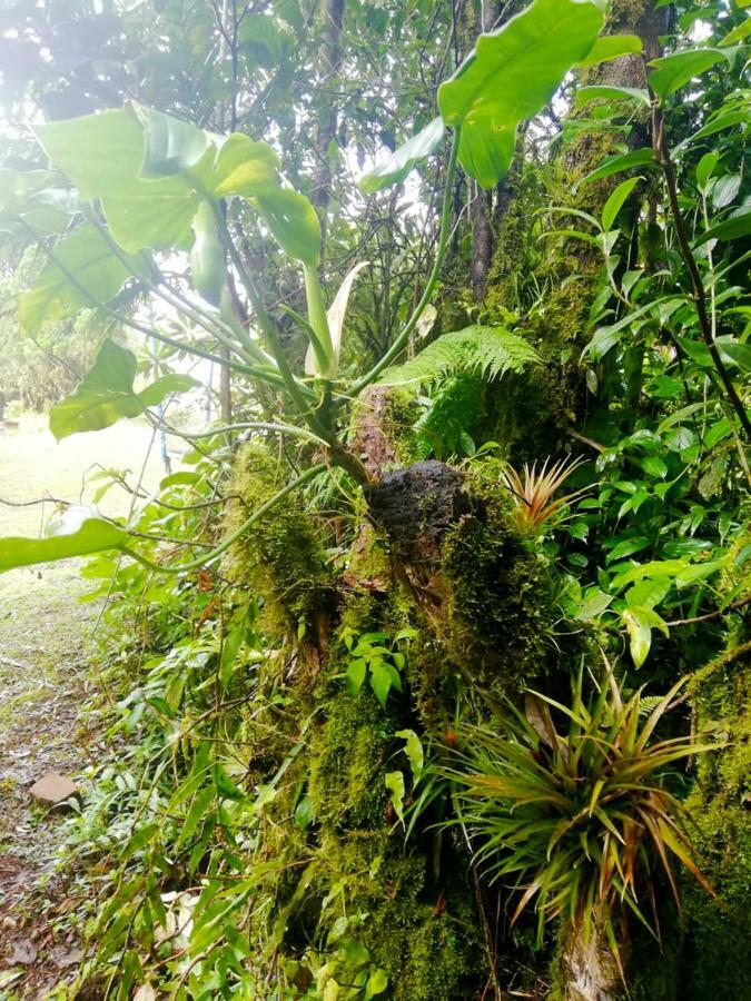 Cabanas Las Orquideas Zapotal  Экстерьер фото