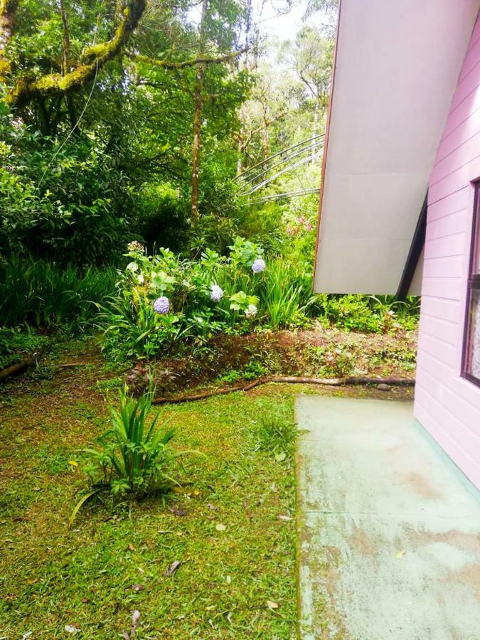 Cabanas Las Orquideas Zapotal  Экстерьер фото